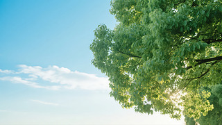 С(ji)Gꖹ{(ln)Ȼh(hun)