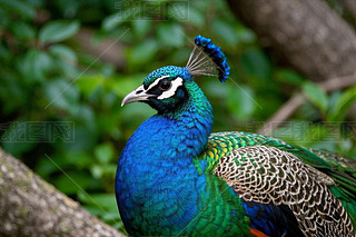 һl{(ln)ɫβͺһlGɫβژ֦