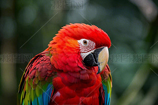 W^Ę(sh)֦L(zhng)tɫ;Gɫë