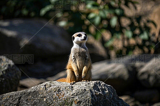 ꖹµһKrʯϴһֻС؈