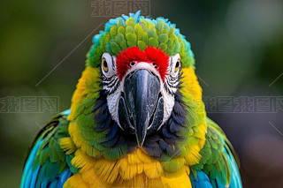 ɫrGW^֦L(zhng)tɫ;Gɫë