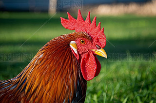 ݅дһֻL(zhng)tӵĹuDƬ