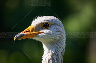 һֻL(zhng)๵B(nio)،DƬ