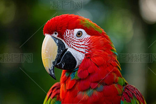 W^мtɫ;GɫëSɫ๸DƬ