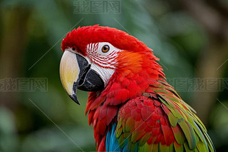 W^tɫ;GɫëվھGɫǰDƬ