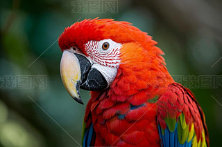 W^Ę(sh)֦L(zhng)tɫ;GɫëDƬ