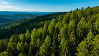 ïɭ־Gɫ(sh)ľȻB(ti)h(hun)