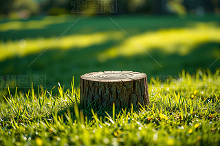 ݵϵĘ䘶okһꖹµȻԭľ֮