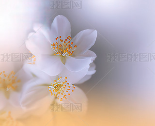 ɫȻ@˴򻨺^߅ˇg(sh)O(sh)Ӌ(j)