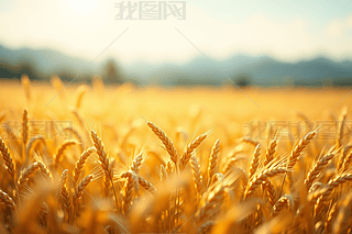 ɫSϲ(yng)?lin)uҷĽɫ