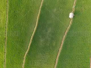 ȫr(nng)I(y)ﾰ^Ŵצ