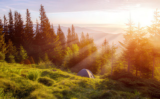 oճɽۂߵL(fng)ͯԒɭ