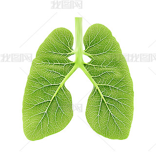 G~(gu)ɵķβΑB(ti)(chung)D