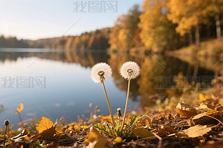 պϵăѹӢ