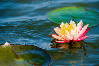 \ۼtɫ˯ɏɻSɫˮ(3)