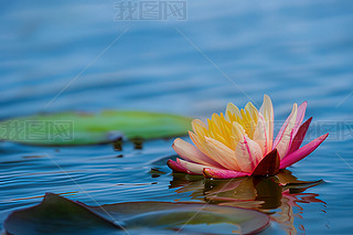 \ۼtɫ˯ɏɻSɫˮ(2)