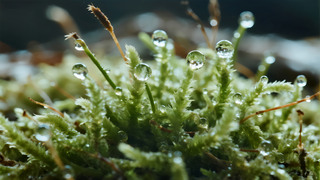 С(ji)̦\¶΢༚(x)(ji)ȻB(ti)