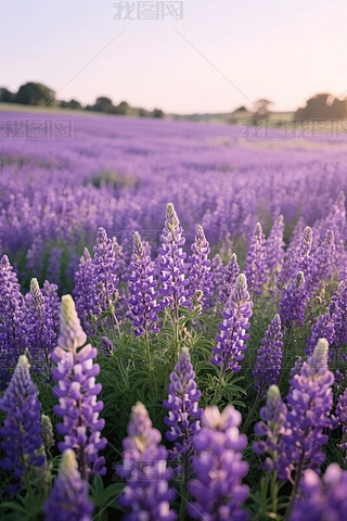 ɫ