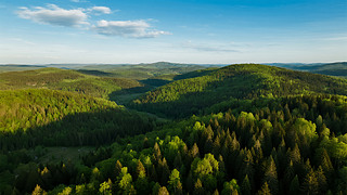 ɭɽ}BdGɫȻL(fng)ⱳD