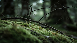 ɭֵ̦\Gֲ΢ȻB(ti)h(hun)