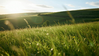 ﹝(ji)ճ(yng)r(nng)I(y)Sϣ