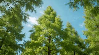 С(ji)ҕˮɼ{(ln)GɫȻ