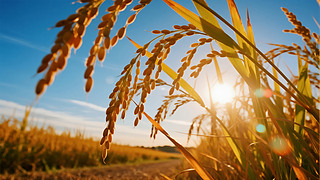 ﹝(ji)﹝(ji)Sr(nng)I(y)ϣ