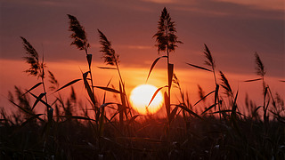 ̎(ji)JȔӰ߅ΨL(fng)