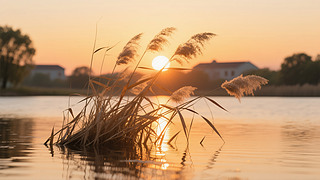 ﹝(ji)߅JȔ䵹ӰΨL(fng)