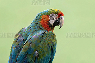 W^،zӰ