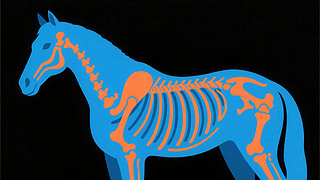 RĹʲ宋