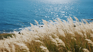 ¶(ji)⺣߅JȔʎ{(ln)ɫ?k)oȻD