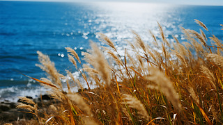 ﹝(ji)⺣߅JȔʎȻL(fng)