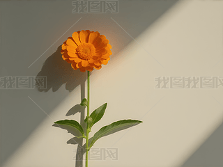 ꖹµĳɫK