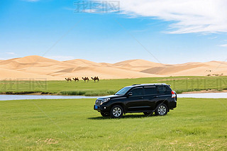 ɳĮ߅ݵϵĺɫԽҰ܇