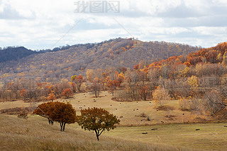 Ї(gu)my(tng)ԭɽֶL(fng)Ӱ