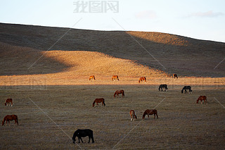 Їmy(tng)ϦµĲԭɽL