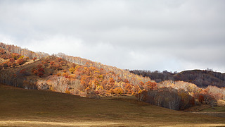 Ї(gu)my(tng)ԭհטֺͽɫݵL(fng)