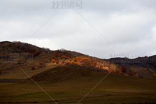 Ї(gu)my(tng)ԭɽֶL(fng)Ӱ