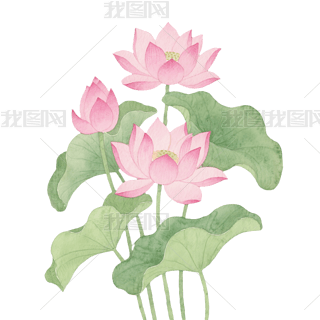 ͨˮīɫɏɻ~宋ֲpngԪ