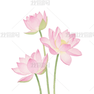 ͨˮīɫɻ宋ֲpngԪ