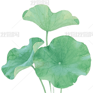 ͨˮīGɫ~宋ֲpngԪ