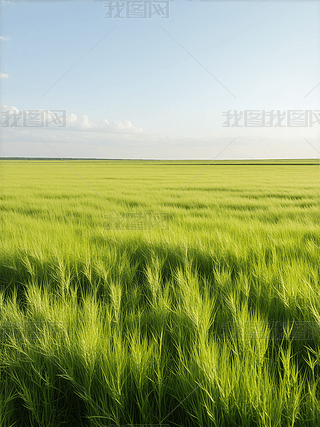 V韵ľGɫ(yng)Wҫ