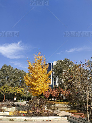 ԭ(chung){(ln)춬(yng)SyӘ