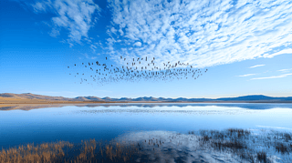 ѩɽºwBݵزԭ½ΈDƬ