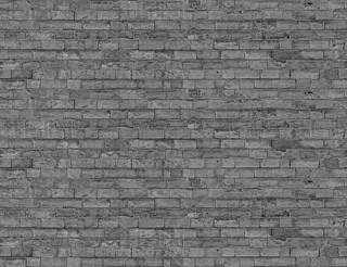 opëʯĻʯʯɉʯ氫Nʯ^NDز