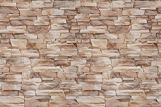 opëʯĻʯʯɉʯ氫Nʯ^NDز