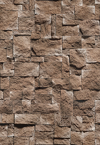 opëʯĻʯʯɉʯ氫Nʯ^NDز