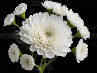 İɫջ?f)֮?>
                                                                    </a>
                                <div   id=