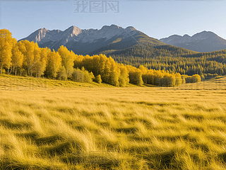 ɽҰL(fng)cS݈(chng)